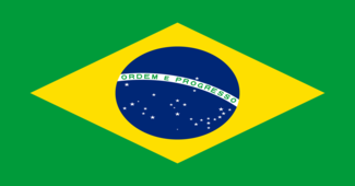 Brazil flag 325x170