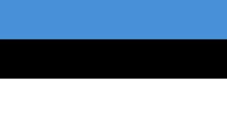 Estonia flag 325x170
