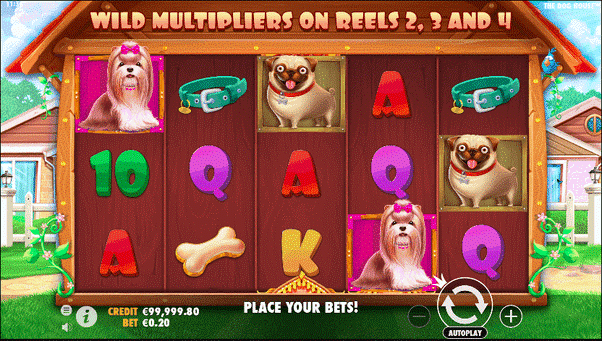 Animal slot with dogs in a dog house, collars and bone symbols