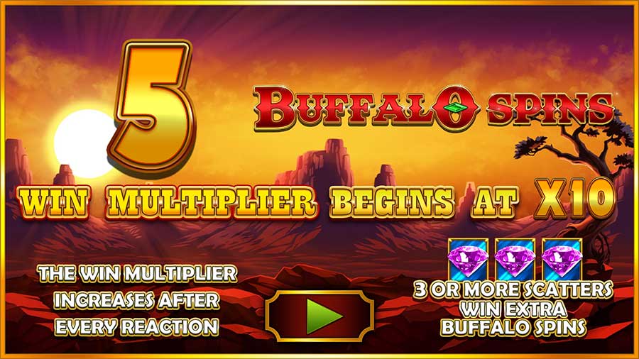 buffalo-aa-5